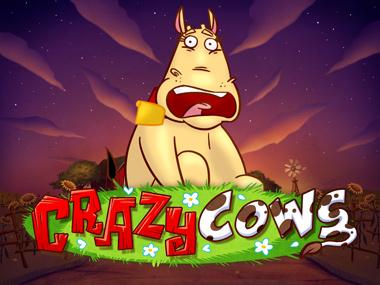 crazycows_Horizontal.jpg