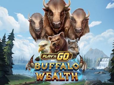 playngobuffaloofwealth_Horizontal.jpg